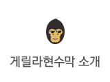 고릴라광고소개